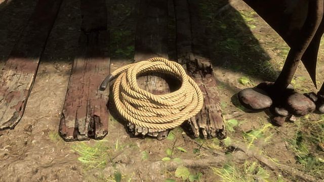 Comment obtenir une corde dans Sons Of The Forest