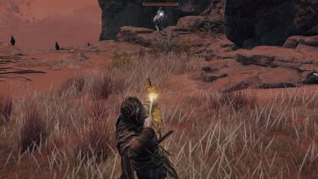 Elden Ring : Les Meilleures flèches et boulons