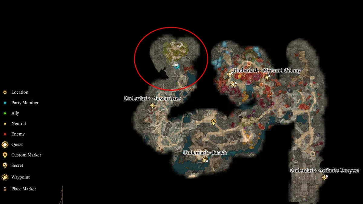 Baldur’s Gate 3 : Comment obtenir le champignon Noblestalk ?