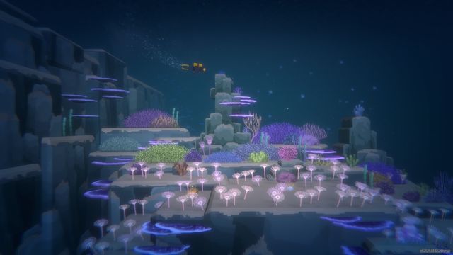 Dave the Diver : Comment faire de la plongée de nuit