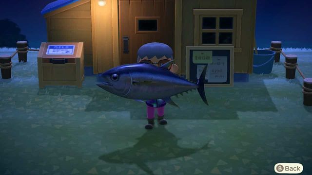 Animal Crossing New Horizons Liste des poissons rares