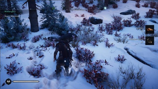 Comment trouver des bois de renne pour une chasse douce dans Assassin's Creed Valhalla