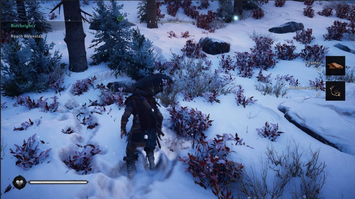 Comment trouver des bois de renne pour une chasse douce dans Assassin's Creed Valhalla