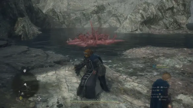 Les joueurs de Dragon's Dogma 2 découvrent que La Brine est la meilleure arme du jeu