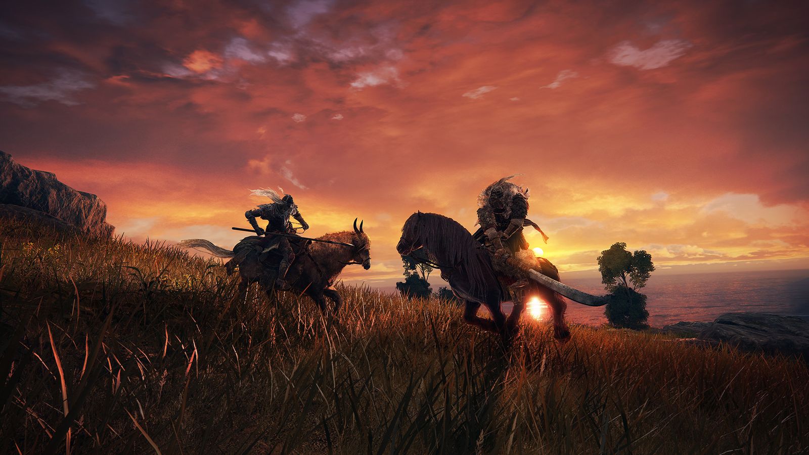 Elden Ring : Guide du torrent et du combat monté