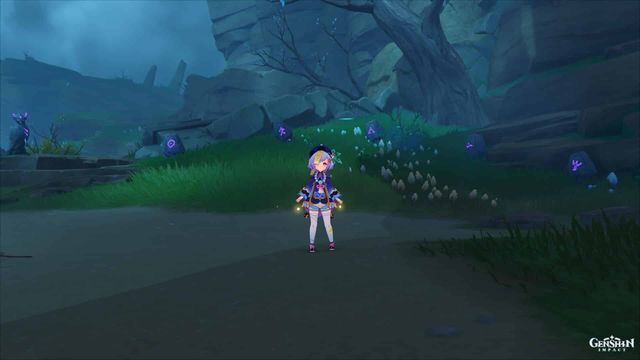 Genshin Impact : Guide de puzzle Wakukau Shoal Mystery of the Stones