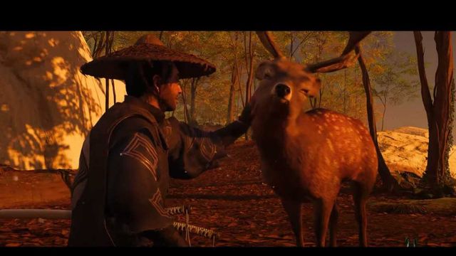 Ghost of Tsushima Iki Island : Emplacement des sanctuaires pour animaux