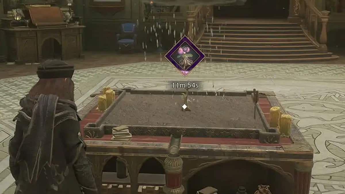 Hogwarts Legacy : Comment obtenir des fruits Shrivelfig