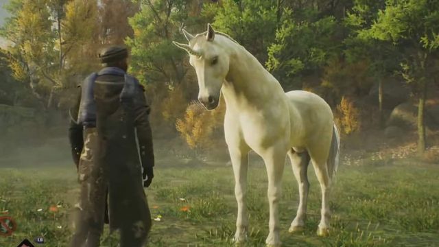 Hogwarts Legacy : Guide de localisation Licorne