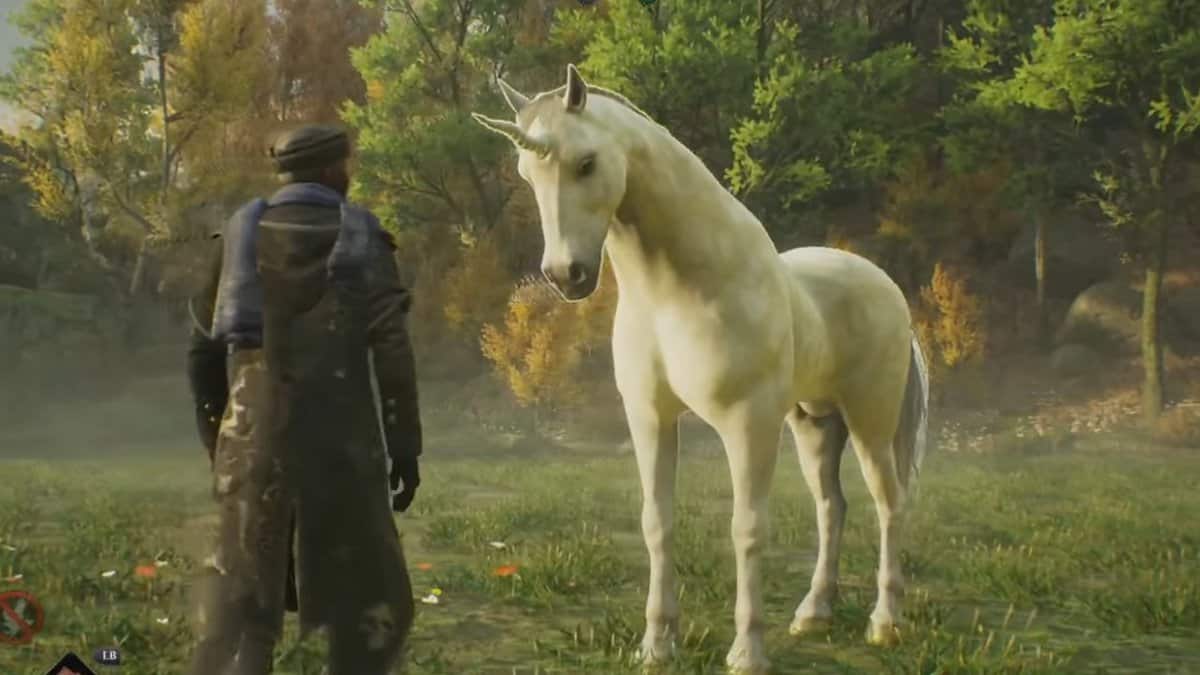 Hogwarts Legacy : Guide de localisation Licorne