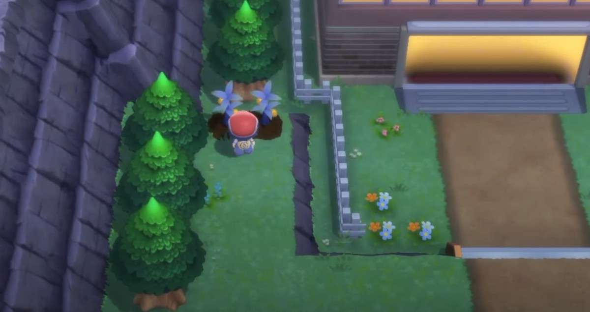 Pokemon BDSP : Comment faire pousser des baies