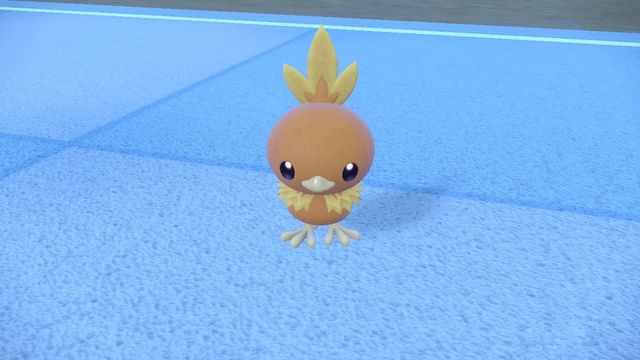 Disque Indigo : Où trouver Torchic