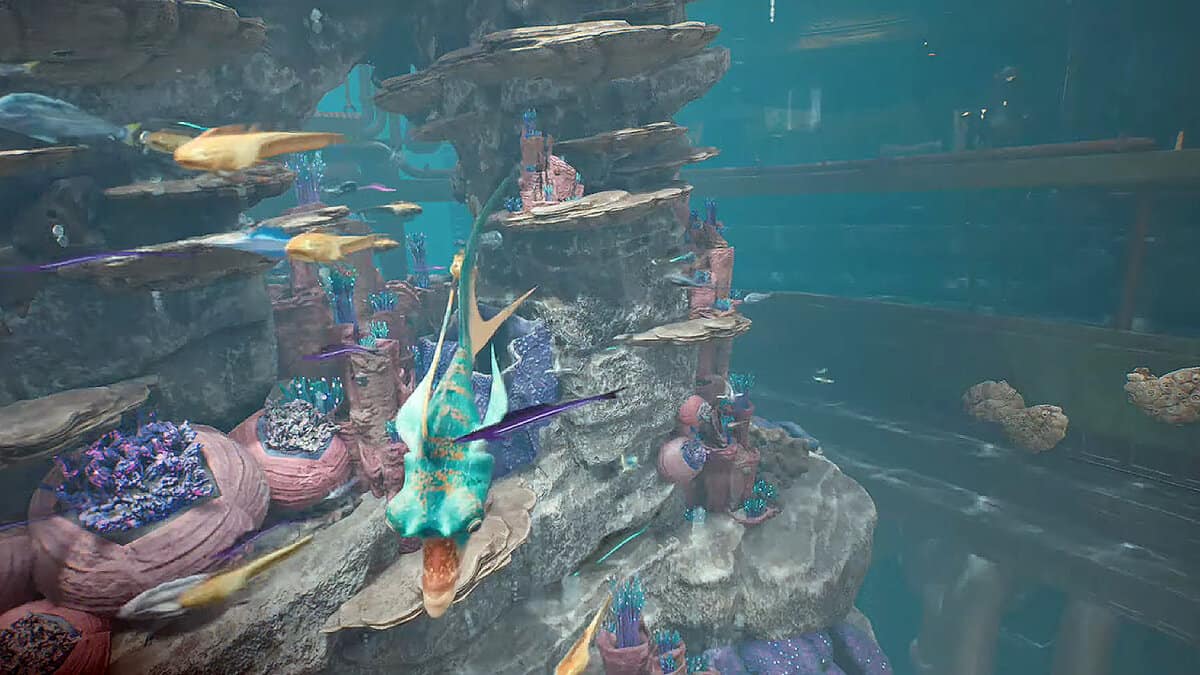 Star Wars Jedi : Survivor - Emplacements des poissons de l'aquarium