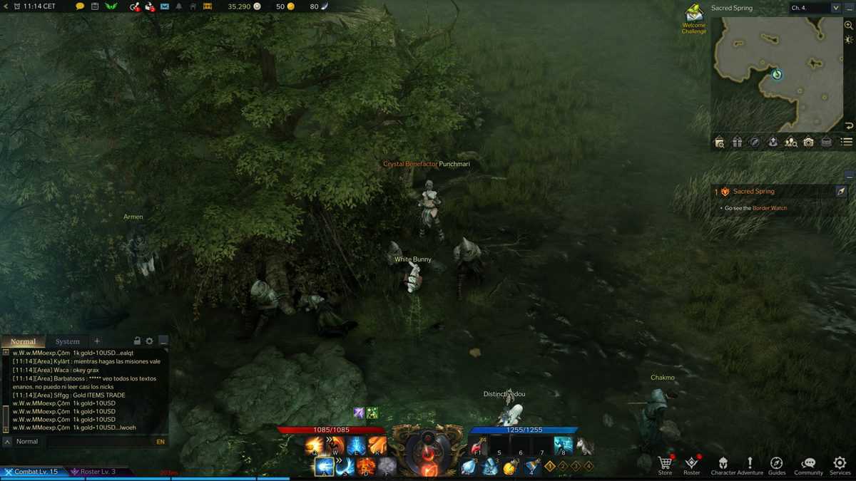 Lost Ark : La forêt où les fées chantent