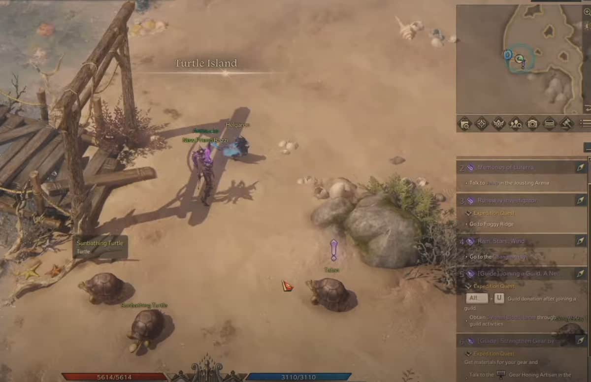 Lost Ark : Turtle Island - Guide des emplacements des graines de Mokoko