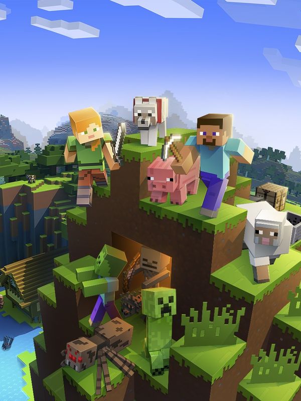 Jaquette de Minecraft
