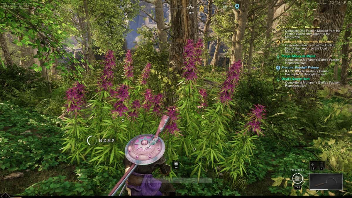 New World : Où trouver des plants de chanvre pour la fibre et le lin