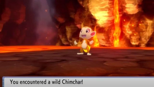 Pokemon BDSP : Emplacement de Chimchar, comment évoluer, type et aptitudes