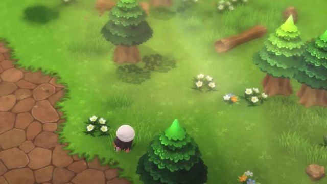 Pokemon BDSP : Comment cloner des objets et des Pokemon