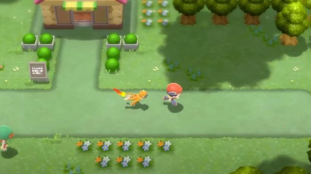 Pokemon BDSP : Où trouver tous les Pokemon Starter