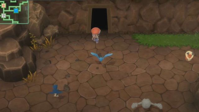 Pokémon DB et PB : Emplacement de Zubat, comment évoluer, type et aptitudes
