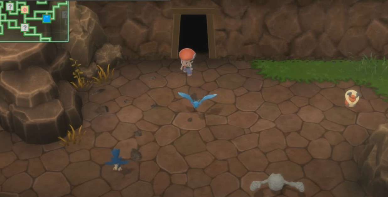 Pokémon DB et PB : Emplacement de Zubat, comment évoluer, type et aptitudes