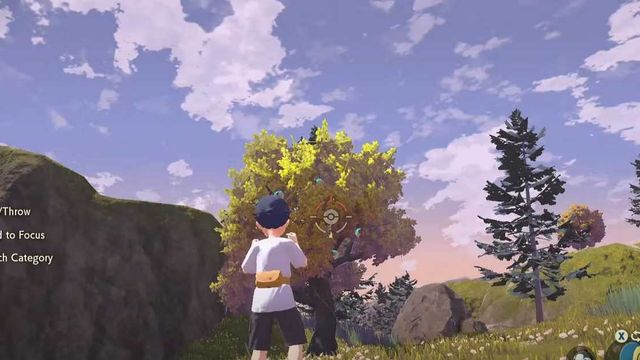 Pokemon Legends : Arceus - Guide des baies