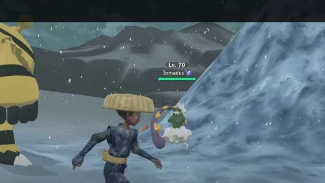Pokemon Legends Arceus : Tornadus Emplacement, comment évoluer, type et capacités