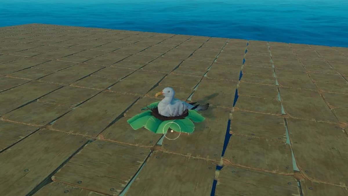 Raft : Comment obtenir des oeufs