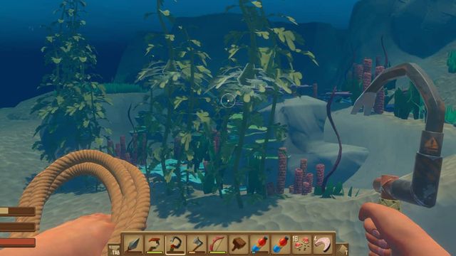 Raft : Comment obtenir des algues