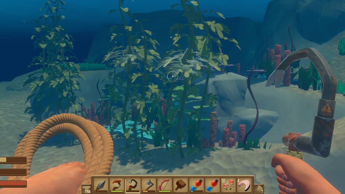 Raft : Comment obtenir des algues