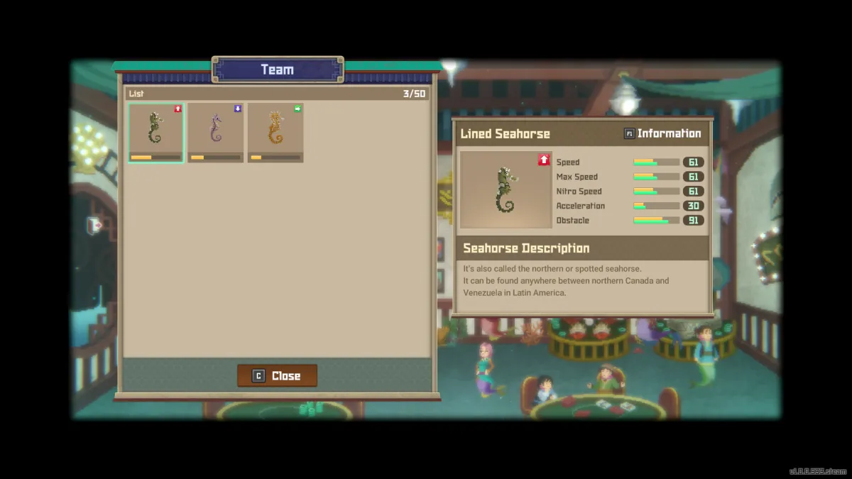 Comment attraper les hippocampes en fuite dans le village - Dave the Diver