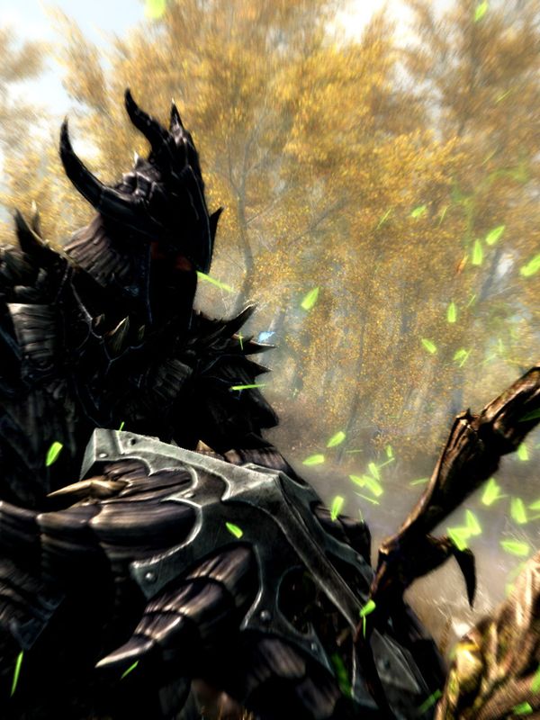 Jaquette de Skyrim