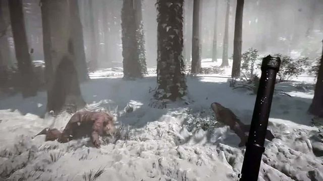 Comment obtenir des vêtements d'hiver dans Sons Of The Forest