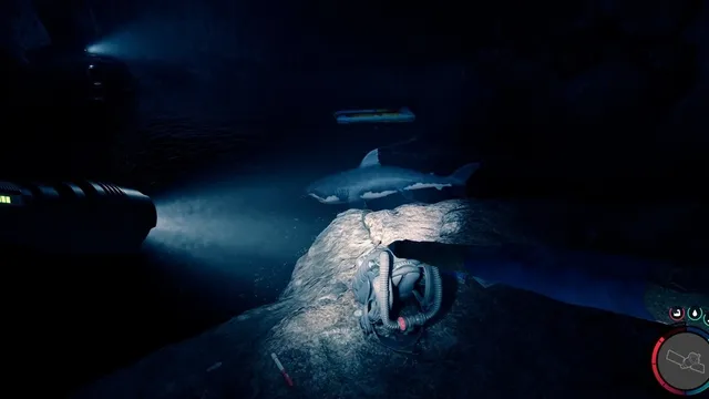 Comment tuer des requins dans Sons of the Forest