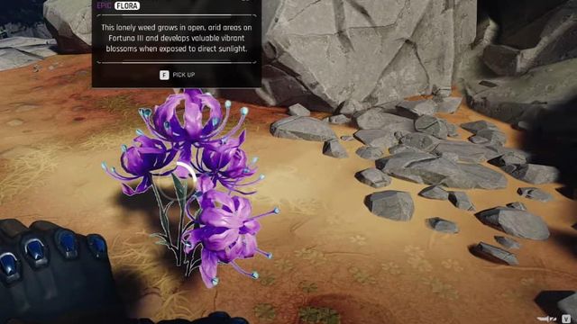 The Cycle : Frontier - Emplacement de Dustbloom