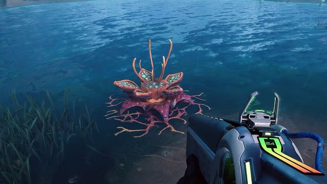 The Cycle : Frontier - Emplacements des filaments d'algues