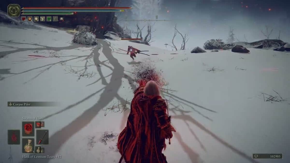 Où trouver un essaim de mouches dans Elden Ring
