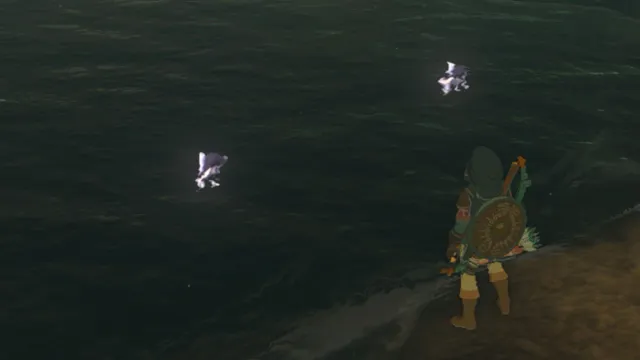 Zelda : Tears of the Kingdom - Comment trouver des poissons brillants