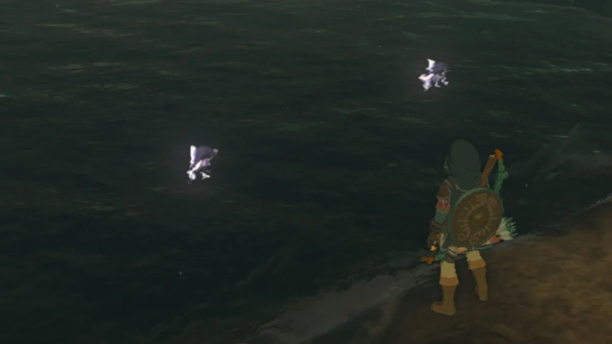 Zelda : Tears of the Kingdom - Comment trouver des poissons brillants
