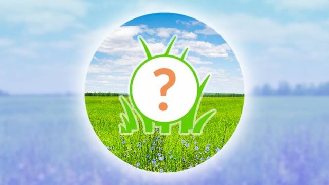 Comment attraper Shaymin dans Pokémon Go