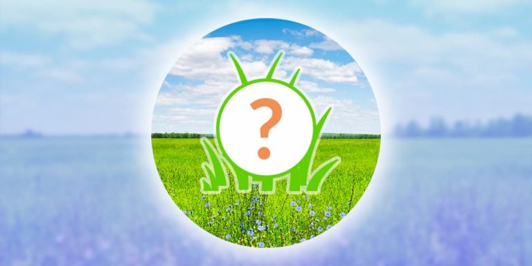 Comment attraper Shaymin dans Pokémon Go