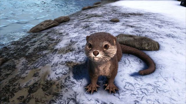 Ark : Lost Island - Guide des emplacements de Beaver Dam
