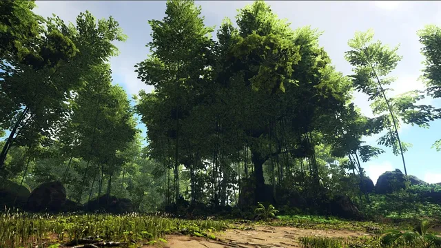 Ark : Valguero - Emplacements des cactus