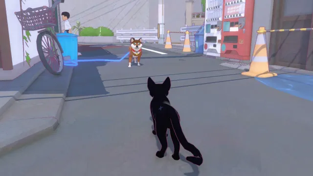 Little Kitty Big City