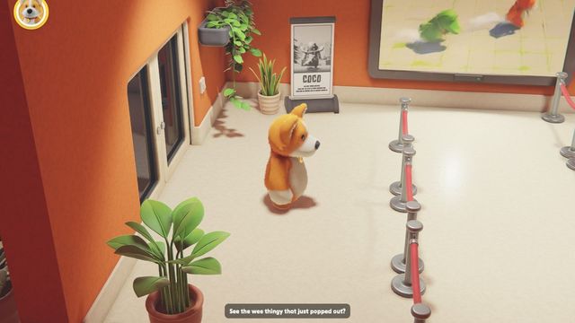 Party Animals : Où est votre endurance ?