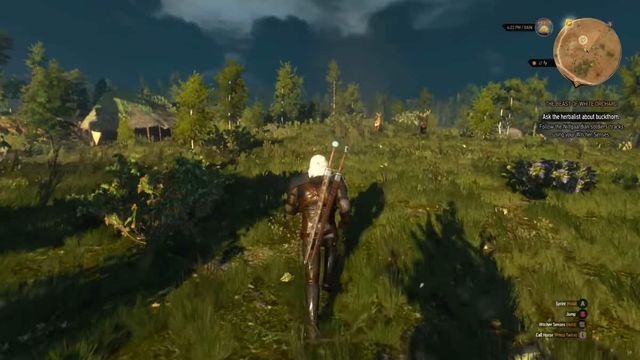 The Witcher 3 : Guide des emplacements des lieux de pouvoir