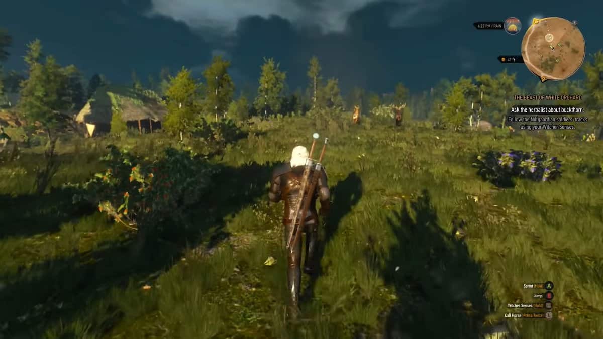 The Witcher 3 : Guide des emplacements des lieux de pouvoir