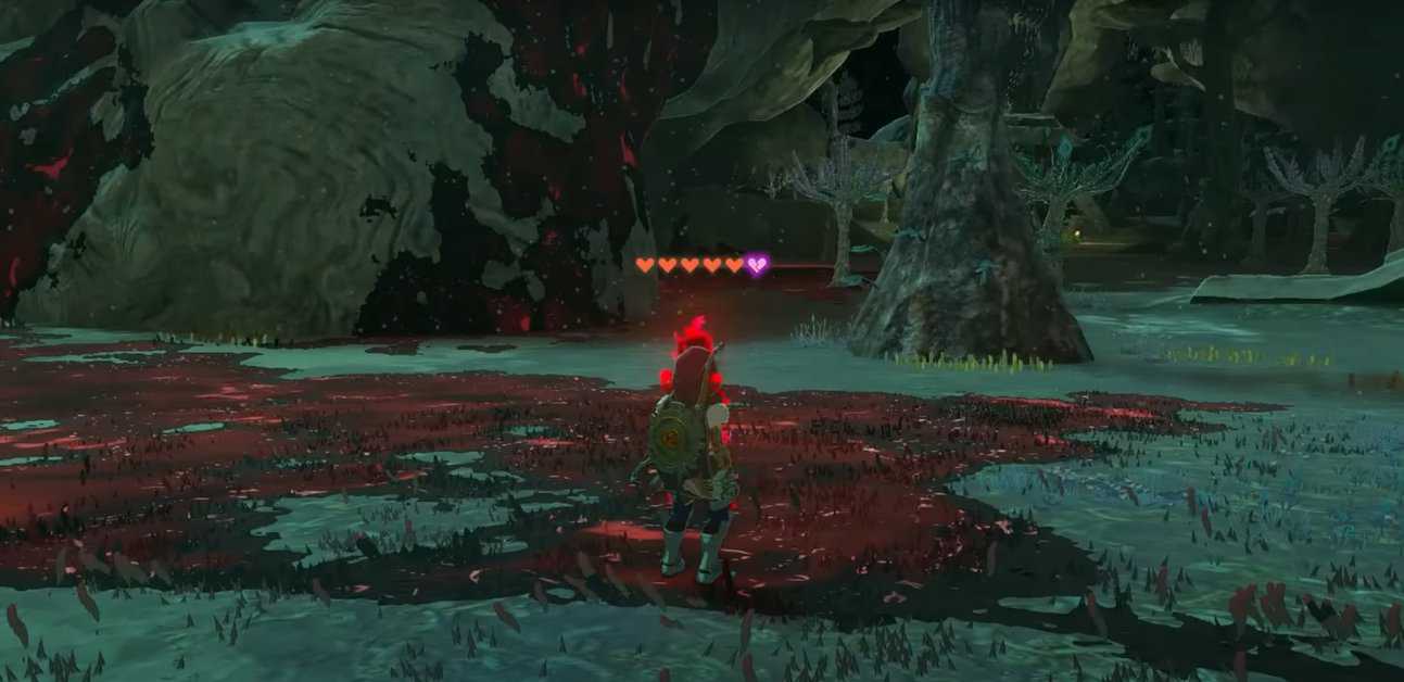 Zelda : Tears Of The Kingdom - Comment augmenter la résistance à la morosité
