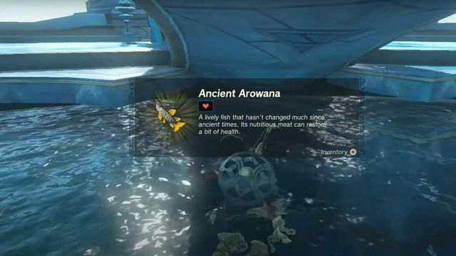 Zelda : TotK - Emplacement de l'Arowana ancien